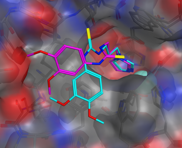 Structural alignment of 2 different poses of PBD150 in Gluatminyl Cyclases of different origins