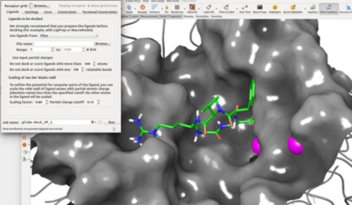 Design of Cyclopeptidic Drugs by Civera Belvisi